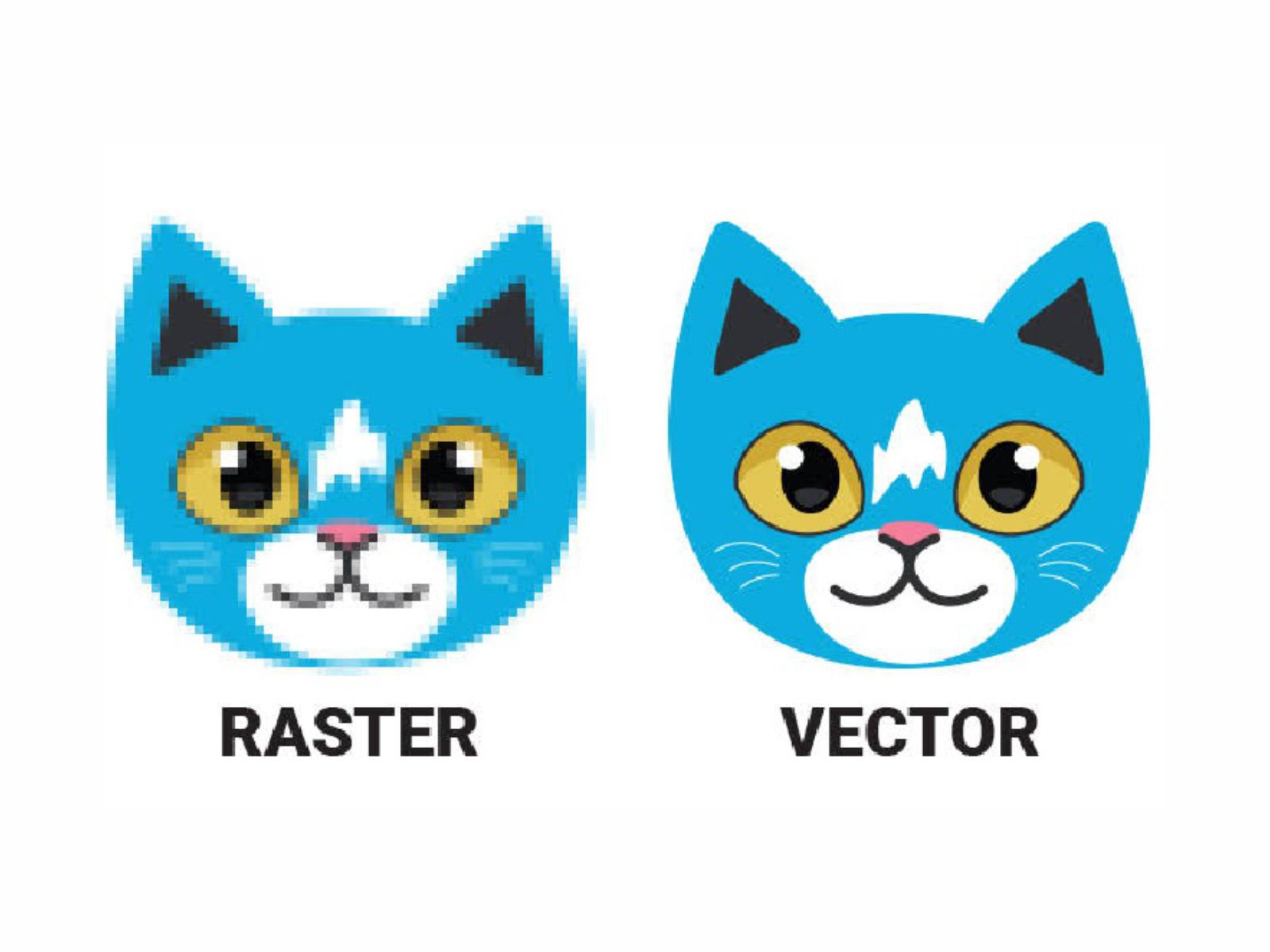 High-quality vector artwork from image