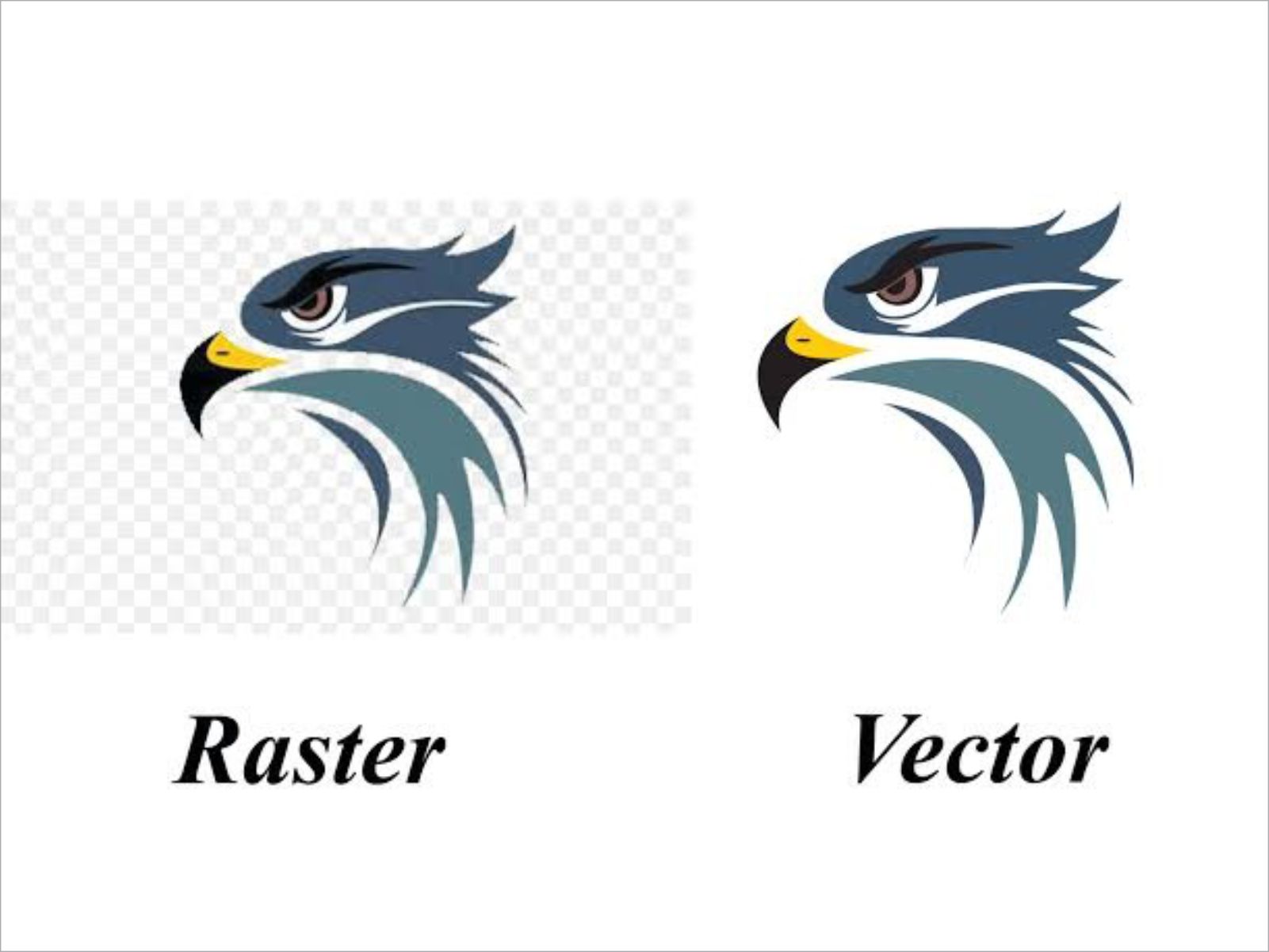 Precise vector line art tracing sample